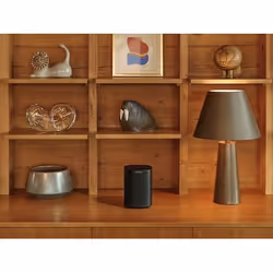 Sonos ONE SL Mono portable speaker Black