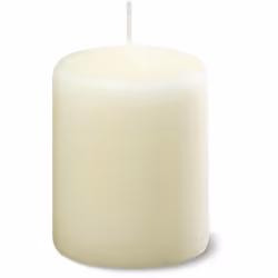 Bolsius Professional Pillar Candles Ivory (80/60) Pack of 12