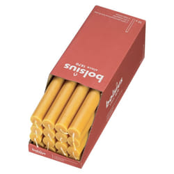 16x Bolsius Table Candles Honeycomb Yellow Holiday Decoration Stick Candle