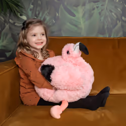 Cozy Noxxiez Flamingo Decorative pillow