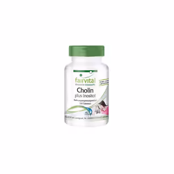 Choline Plus Inositol  Bulk Pack for 3 Months  Vegan  HIGH Dosage  100 Tablets
