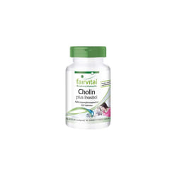 Choline Plus Inositol  Bulk Pack for 3 Months  Vegan  HIGH Dosage  100 Tablets