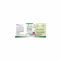 Choline Plus Inositol  Bulk Pack for 3 Months  Vegan  HIGH Dosage  100 Tablets