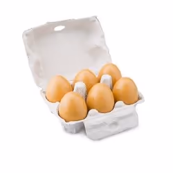 New Classic Toys 10596, 2 yr(s)