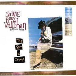 Music On Vinyl Stevie Ray Vaughan - The Sky Is Crying, Vinyl