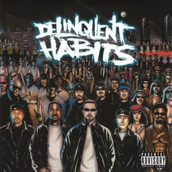 Music On Vinyl Delinquent Habits - Delinquent Habits, Vinyl