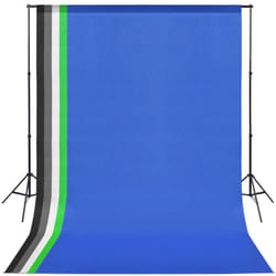 vidaXL Photo Studio Kit with 5 Coloured Backdrops and Adjustable Frame Stand
