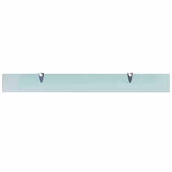 VidaXL 243759 shelve Tempered glass, Zinc Transparent