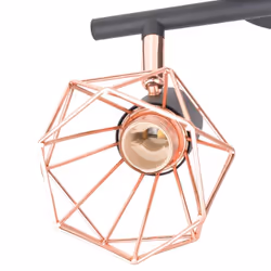 vidaXL Ceiling Lamp with 2 Spotlights E14 Black and Copper Lighting Fixture