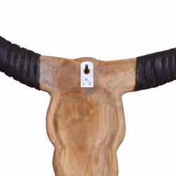 vidaXL Teak Wall-Mounted Bull Skull Sculpture 69x6x60cm Hanging Home Decor - Additional view 8