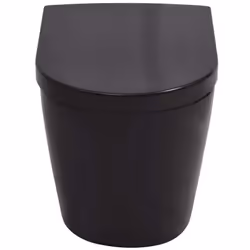 vidaXL Wall Hung Toilet with Concealed Cistern Ceramic Black Bathroom WC Seat - Additional view 5