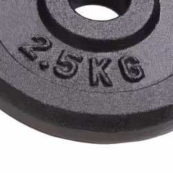 vidaXL 8x Weight Plates 8x2.5 kg Cast Iron Fitness Gym for Dumbbell Lifting Bars