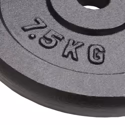 vidaXL 4x Weight Plates 4x7.5 kg Cast Iron Fitness Gym for Dumbbell Lifting Bars
