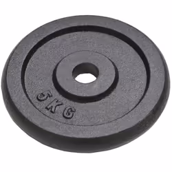 vidaXL 4x Weight Plates 2x10kg+2x5kg Cast Iron Fitness Gym Disc for Dumbbell