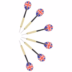 vidaXL Professional Sisal Dartboard with 6 Darts and Surround Throwing Game