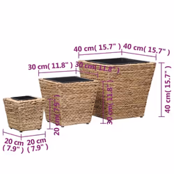 vidaXL Raised Beds Planter Flower Box Pot Living Room 3 pcs Water Hyacinth - Additional view 7