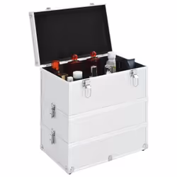 vidaXL Make-up Case 2-Tier Handle Spacious Silver Aluminium Vanity Organiser