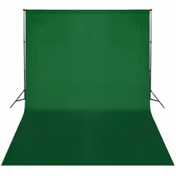 vidaXL Backdrop Support System 300x300cm Green Photography Studio Background