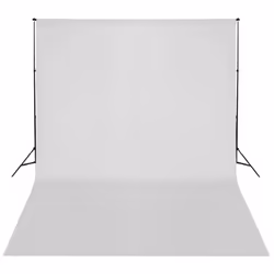 vidaXL Backdrop Support System 300x300cm White Photography Studio Background