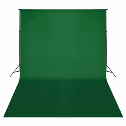 vidaXL Backdrop Support System 500x300cm Green Photography Studio Background