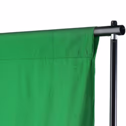 vidaXL Backdrop Support System 500x300cm Green Photography Studio Background