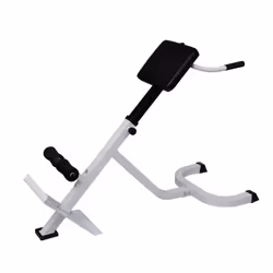 vidaXL Back Extension Trainer Bench Roman Chair Fitness Exercise Folding Design