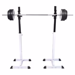 vidaXL Squat Barbell Rack Set Gym Weight Training Exercise 80kg 12 Levels