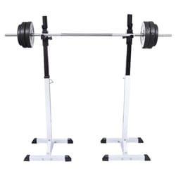 vidaXL Squat Barbell Rack Set Gym Weight Training Exercise 80kg 12 Levels