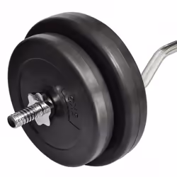 vidaXL Curl Bar with Weights 30kg Dumbbell Weight Plates Bar Workout Fitness