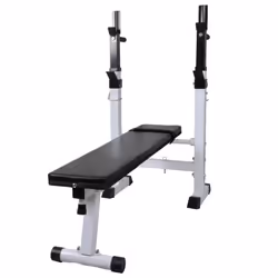 vidaXL Fitness Workout Weight Bench Straight Gym Exercise Training Equipment