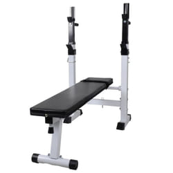 vidaXL Fitness Workout Weight Bench Straight Gym Exercise Training Equipment