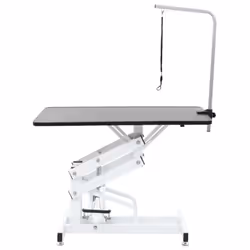 Hydraulic Bath Grooming Table for Dogs Cats Pets Adjustable Arm Loop Quality