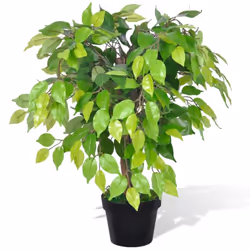 vidaXL Artificial Dwarf Ficus with Pot 60cm Fake Plant Arrangement Home Decor