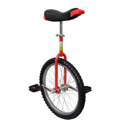 VidaXL 90844 unicycle