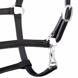 Real Leather Headcollar Stable Halter Adjustable Soft Padded Black Full Horse