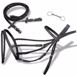 vidaXL Leather Flash Bridle with Reins and Bit Black Pony Adjustable Length