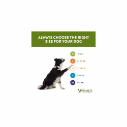 WHIMZEES By Wellness Toothbrush, Month Box, Natural and Grain-Free Dog Chews, Dog Dental Sticks for Medium Breeds, 30 Pieces (One Month Supply)
