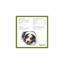 WHIMZEES By Wellness Toothbrush, Month Box, Natural and Grain-Free Dog Chews, Dog Dental Sticks for Medium Breeds, 30 Pieces (One Month Supply)