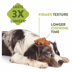 WHIMZEES Natural Dental Dog Chews Long lasting, Medium Stix, 30 Pieces