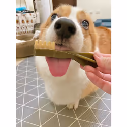 Whimzees TOOTHBRUSH - Additional view 4