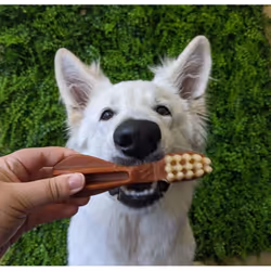 Whimzees TOOTHBRUSH - Additional view 5