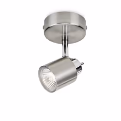Philips Essentials Meranti Ceiling/Wall Spotlight