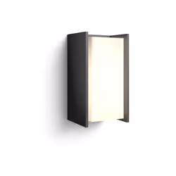Philips Hue White Turaco Outdoor wall light, Smart wall light, Anthracite, LED, Aluminium, Synthetics, Non-changeable bulb(s) ...