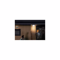 Philips myGarden Moonshine Ceiling Light 28W E27 No-bulb