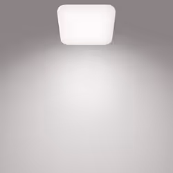 Philips Functional Mauve Ceiling Light 17 W Square