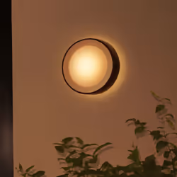 Philips Hue White and colour ambience Daylo Outdoor wall light - Additional view 6