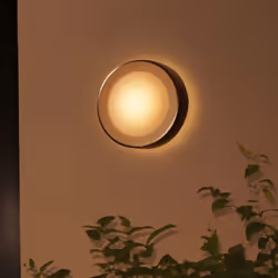 Philips Hue White and colour ambience Daylo Outdoor wall light - Additional view 5