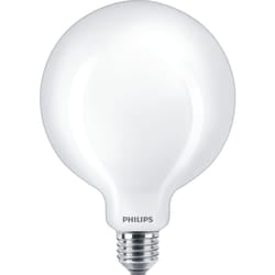 Philips Filament Bulb Frosted 100W G120 E27