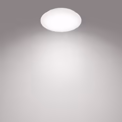 Philips Functional 8718699681111 ceiling lighting Non-changeable bulb(s) LED 10 W