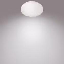 Philips Functional 8718699729073 ceiling lighting Non-changeable bulb(s) LED